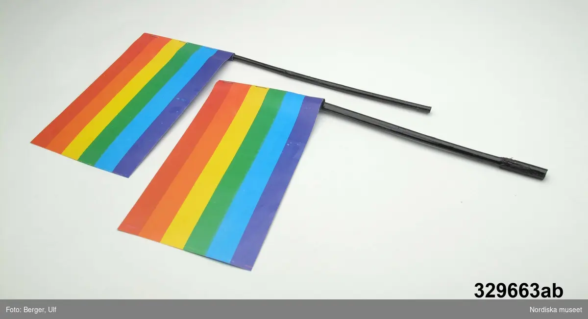2 st (a-b) likadana flaggar av papper i horisontell randning (uppifrån) rött, orange, gult, grönt, blått och lila. I ena kanten fäst en pinne av svartlackat trä (?). Flaggan fäst vid pinnen med häftklamrar. 

Flaggorna är s.k. regnbågsflaggor och är en symbol för mångfald, ofta använd av homosexuella, bisexuella, transpersoner med flera. Regnbågsflaggan står även för respekt för medmänniskor och tolerans. Flaggan skapades i USA av den amerikanske konstnären Gilbert Baker 1978 och har sedan spridit sig världen runt. Enligt vissa uppgifter ska den första varianten vara skapad av Anders Holmquist, som ville göra en multietnisk flagga med inspiration från den amerikanska flaggan där han bytte ut de röda ränderna mot regnbågsfärgade fält istället. Flaggan togs sedan över av Gayrörelsen/Gilbert Baker. (SVD Nätupplaga 2006-06-12 och dödsruna över A. Holquist i DN 2008-11-29)

Denna typ av flaggor delades ut till barn som kom till Skansen för den stora invigningen av Stockholm Pride / Europride 2008 av de volontärer som löste in biljetter mot entréband.

Stockholm Pride är den största årliga festivalen för HBT-personer i Sverige och som 2008 firades 25 jul.-3 aug. Detta år var Stockholm Pride även värd för Europride.
 
Föremålet ingår i Nordiska museet dokumentation av Europride/Stockholm Pride 2008 med intervjuer, fotografier och föremål. Se vidare arkivet (D.457).
/Leif Wallin 2009-05-11