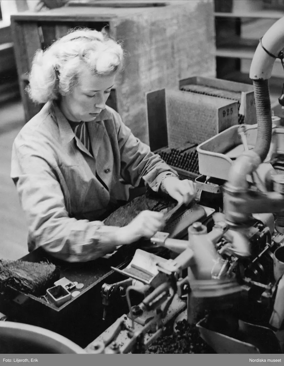 Cigarrtillverkning hos tobaksmonopolets malmöfabrik