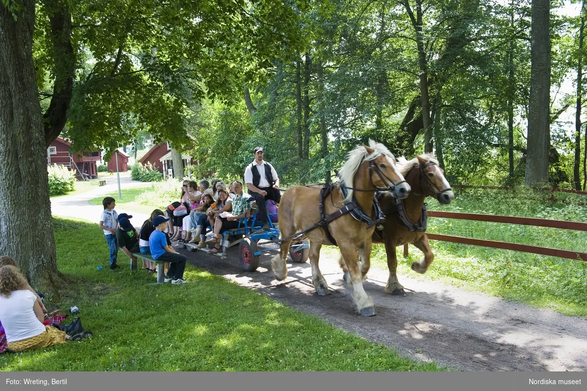 Jordbrukets dag på Julita gård. Rundtur med häst och vagn i parken på Julita gård.