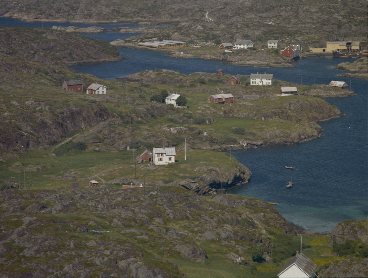 Eiendommer på Monsøya