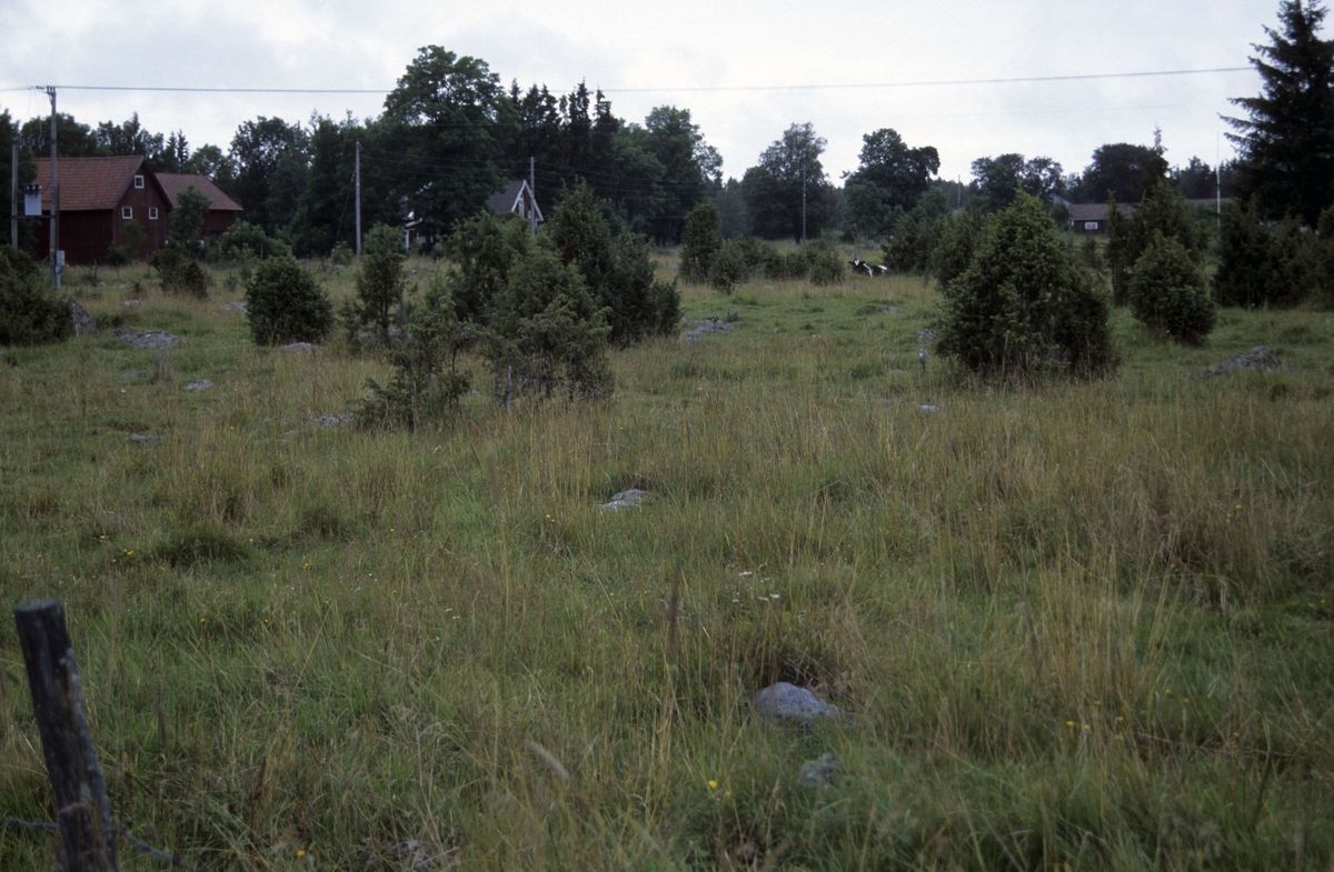 Betesmark, Slada, Hållnäs socken, Uppland 2000