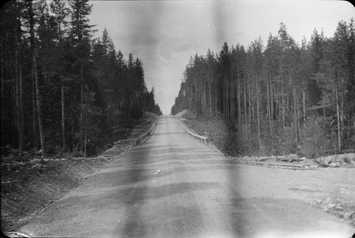 Landsväg genom barrskog, sannolikt i norra Sverige