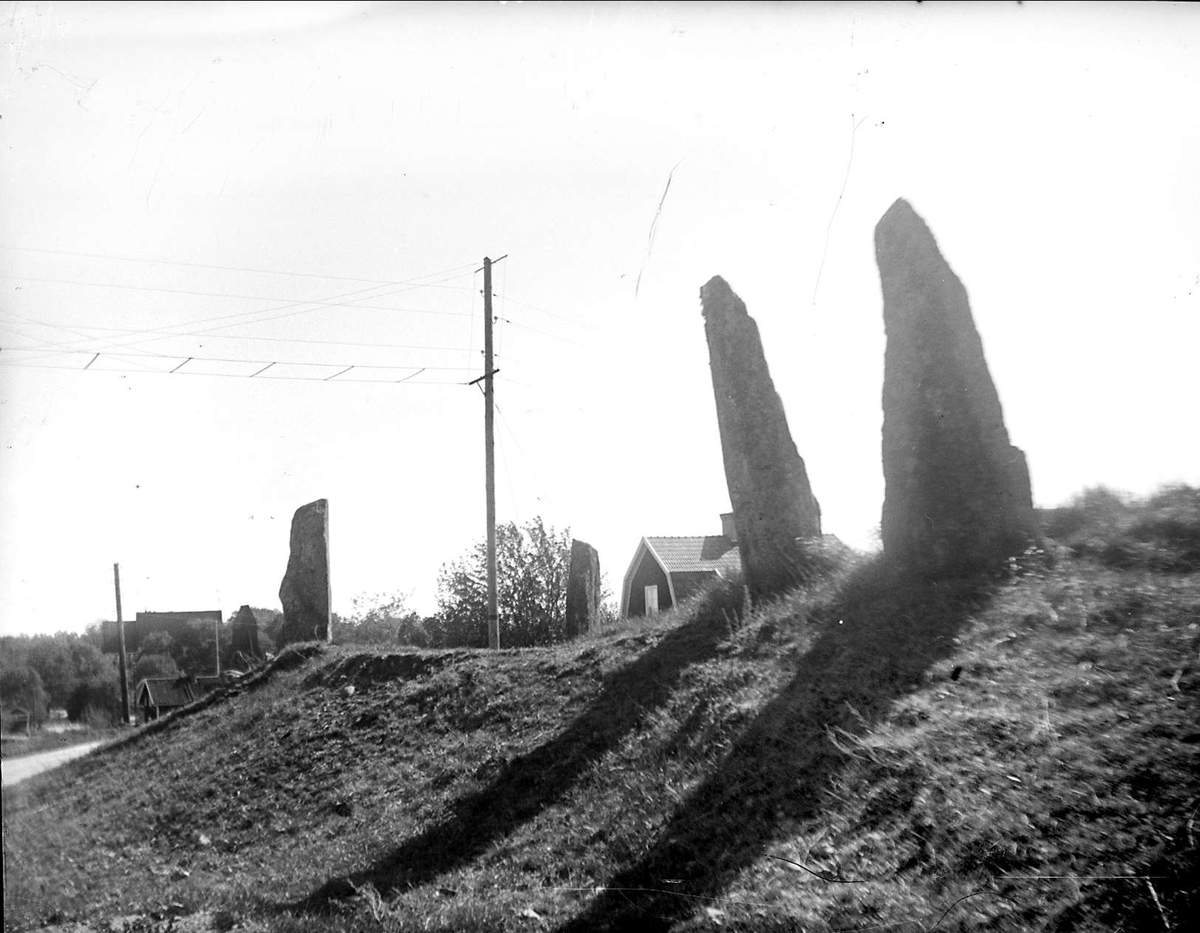 Resta stenar vid gravfält i Edsbro socken, Uppland 1934