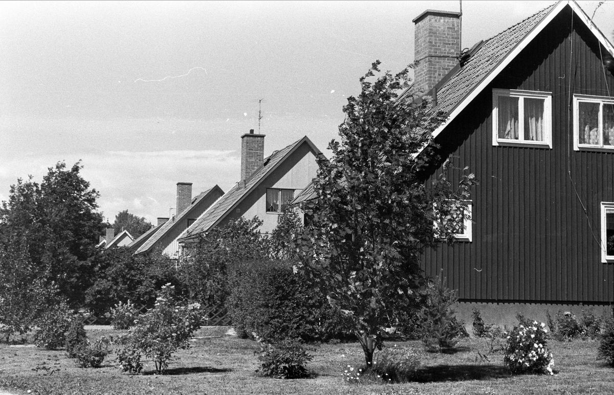 Bostadshus, Kadriljvägen, Björklinge, Björklinge socken, Uppland 1976