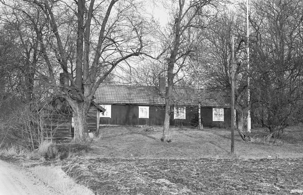 Bostadshus, Locksta 1:5, Locksta, Funbo socken, Uppland 1982 