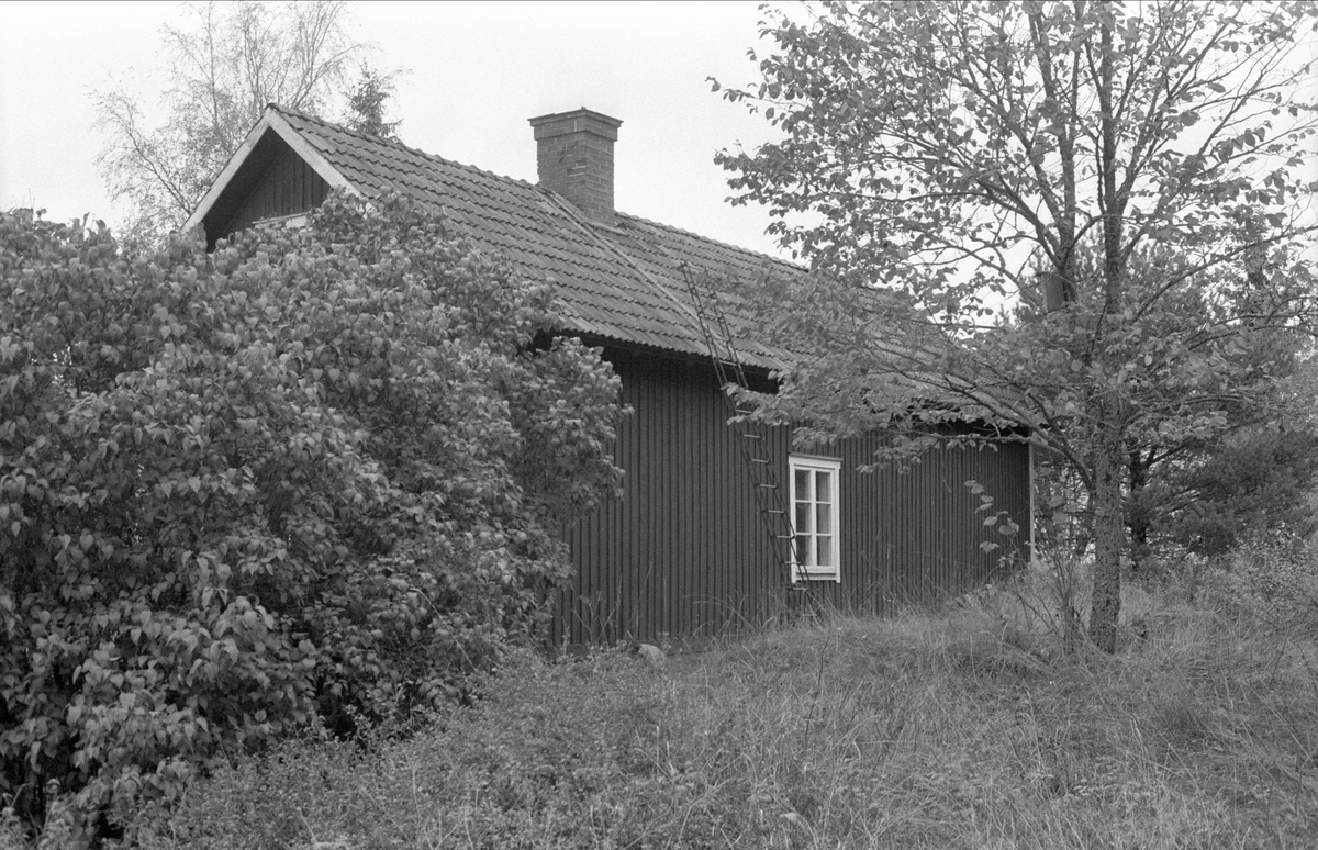 Bostadshus, Källvreten, Bälinge socken, Uppland 1983