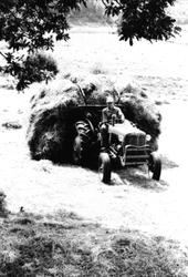 Høyonn på Skjævesland, Øyslebø.