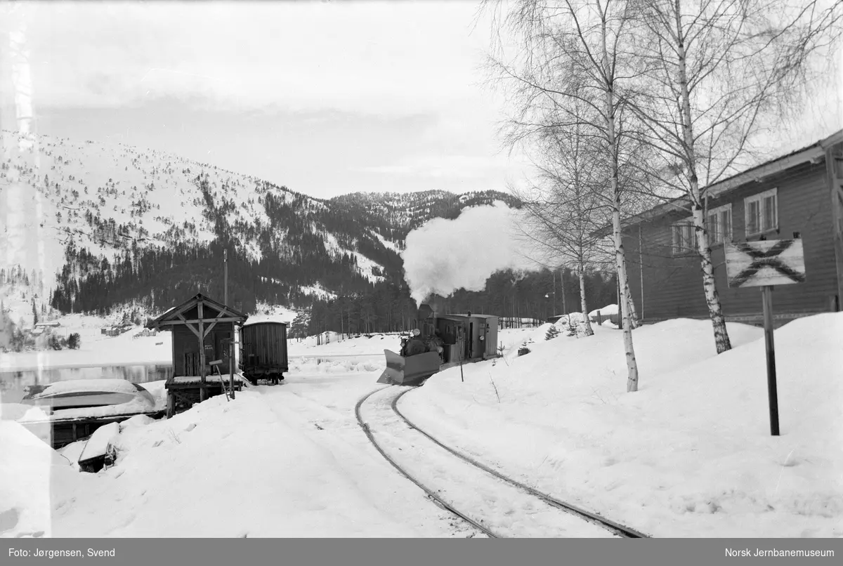 Damplokomotiv med sporrenser på Byglandsfjord stasjon