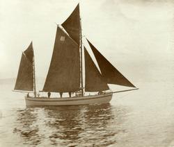 No. 31. - regattaen Aalesund 1898