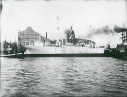 Eksteriør, lastebåten M/S Brazil, B/N 362 foran Akers Mek. V