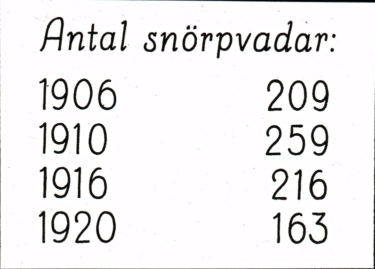Text på skioptikonplåten: "Antal snörpvadar: 1906 209, 1910 259, 1916 216, 1920 163."