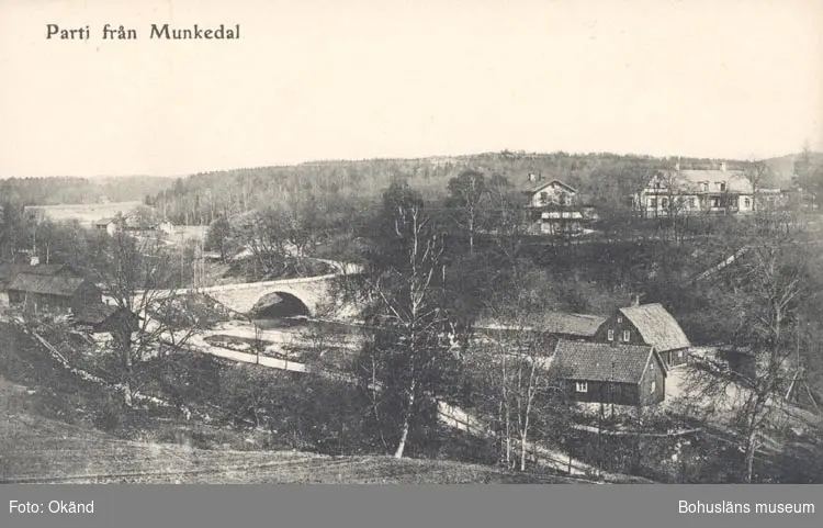 Tryckt text på kortet: "Parti från Munkedal".
"F. L. Schewenius förlag, Munkedal".