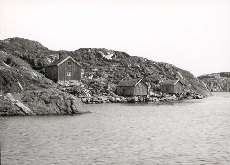 Noterat på kortet: "Ingegerdsholm Tjörn."
"I - utdött fiskeläge nära Skärhamn."
"Foto (D13) Dan Samuelson 1924. Köpt av dens. Dec. 1958."