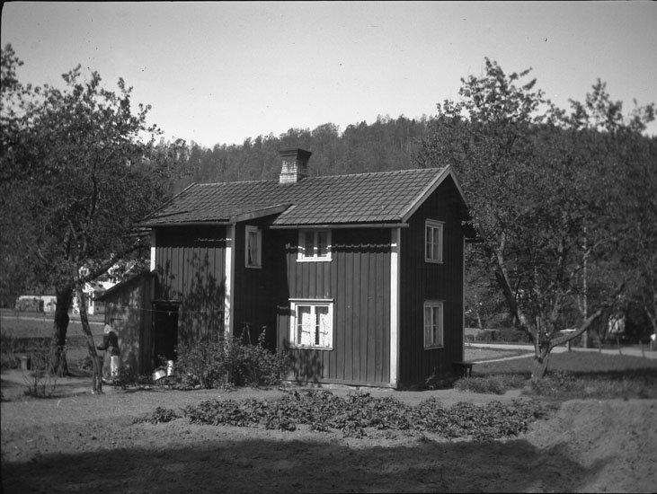 Enligt text som medföljde bilden: "Småland. Stuga vid Norra Hammar."