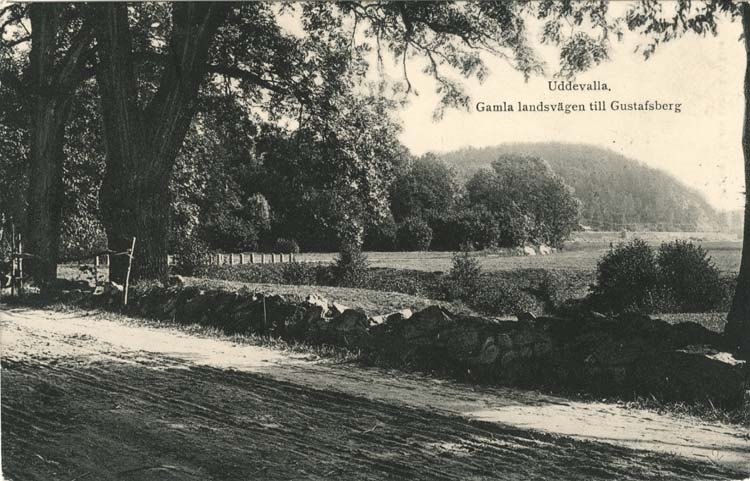 Tryckt text på vykortets framsida: "Uddevalla, Gamla landsvägen till Gustafsberg."