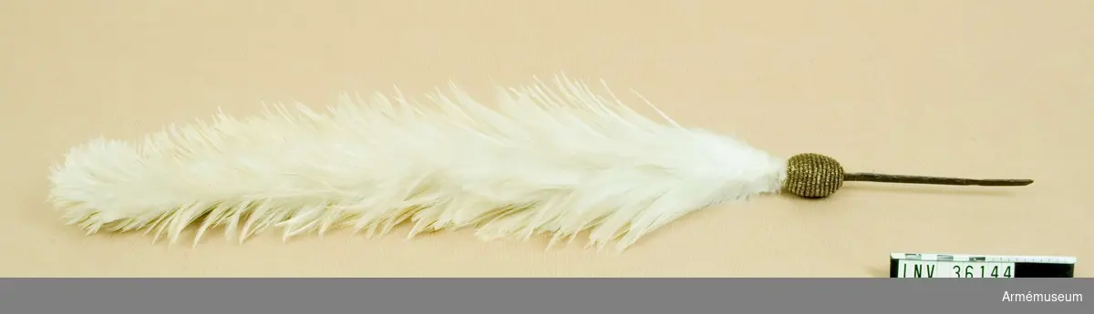 Grupp C I.
Plym av vita fjädrar med pompong av guldtråd.