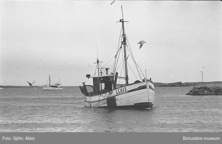 Fiskebåten LL 813 WARDÖ 1978.