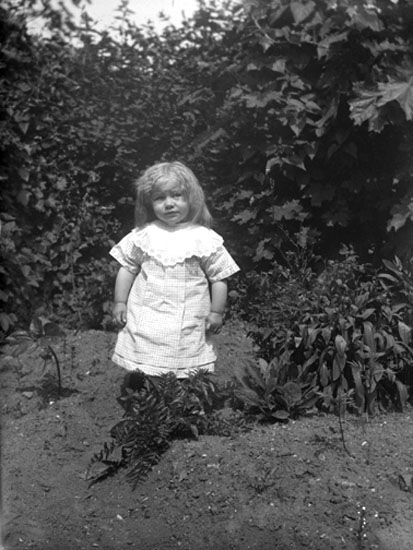 Enligt senare noteringar: " Astrid Andersson. Taget i Zachrissons trädgård, Lilla Nygatan. 16/6 1915."