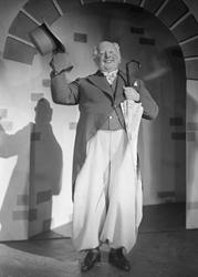 Einar Rose, revyartist