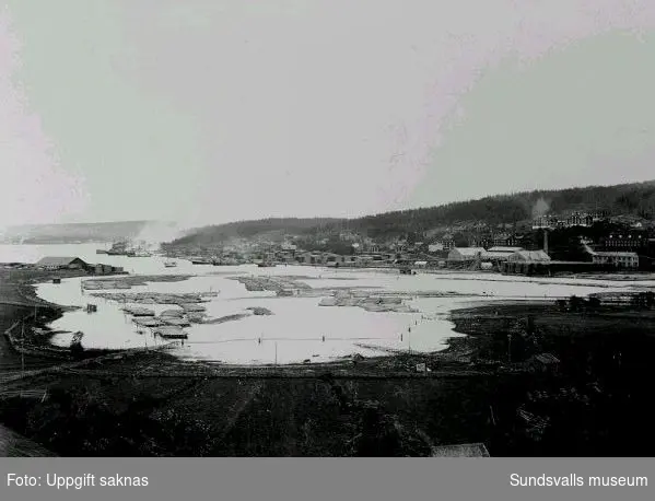 Vy över Skönvik med fartyg, timmer och sågverk. I bakgrunden arbetarbostäderna i Gångviken.