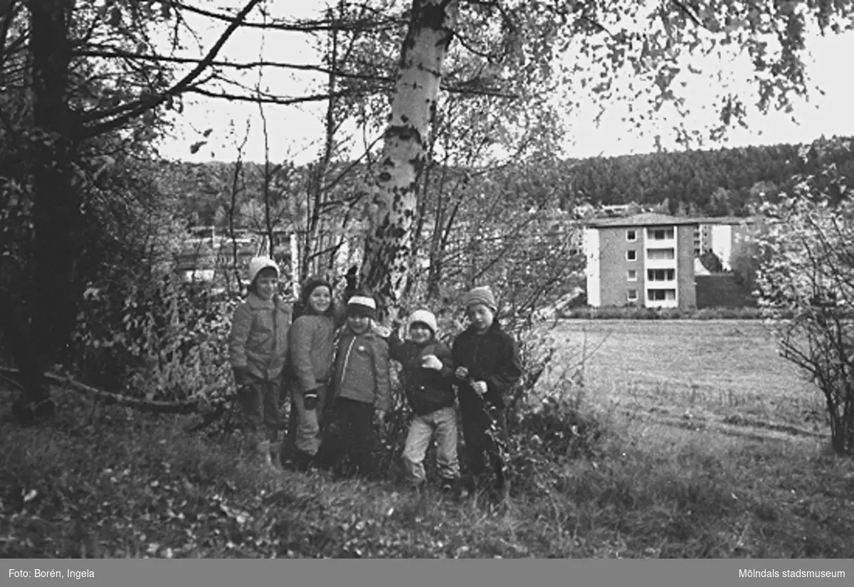 Västerbergets sluttning där förskoleavdelningen Kornaxet hade tema "Trädet" där man tittade på vad som hände med och runt trädet (Björken) under olika årstider (se även: 1997_3698-3699). I bakgrunden ses Kvarteret Rullharven.
Från vänster står Pia Krakowski, Jenny Löfström, Johanna Möller, ? och Rasmus Borgwall.