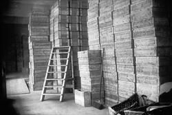 Agentur for Sunlight såpe.