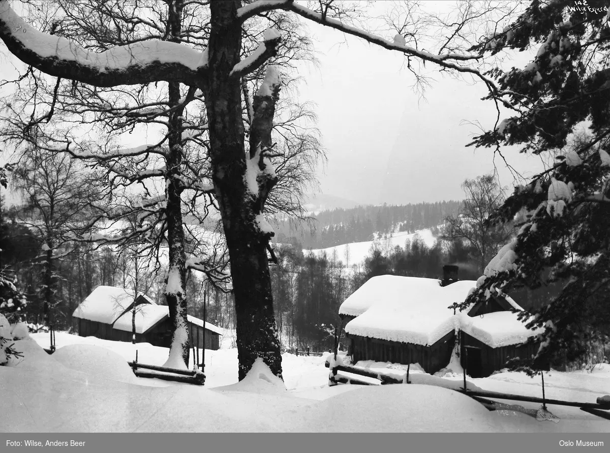 husmannsplass, kulturlandskap, skog, snø
