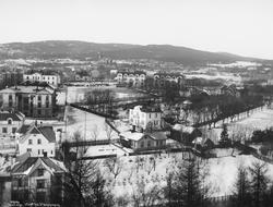 Utsigt fra St. Hanshaugen