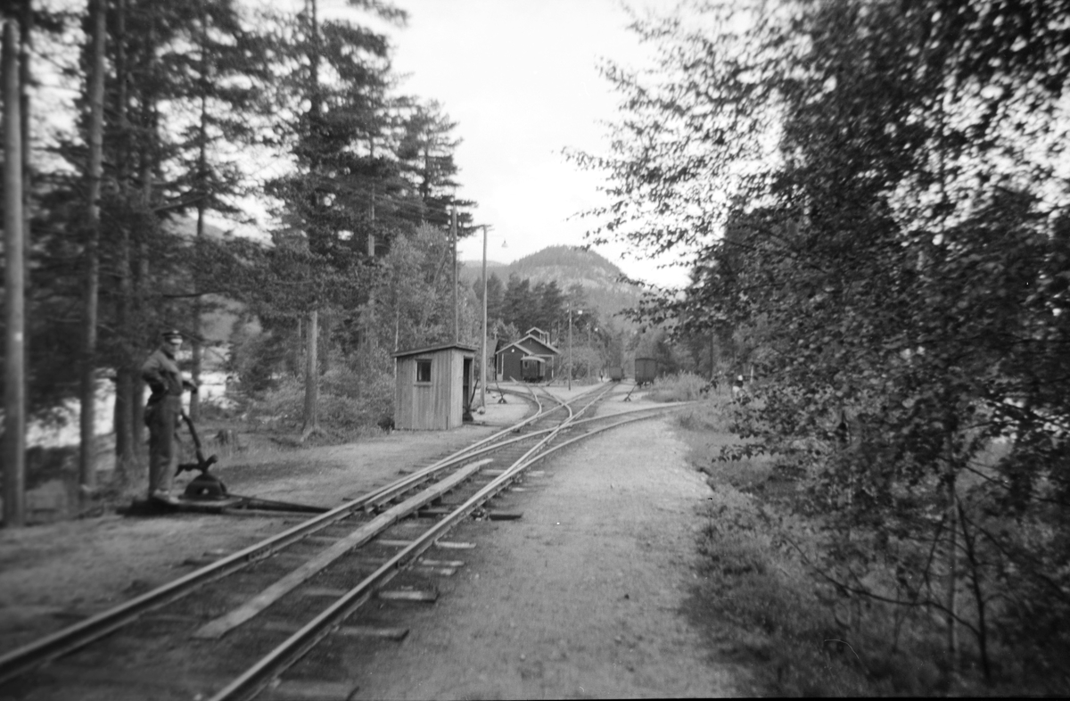 Sporskifter på Byglandsfjord stasjon