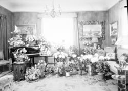 Stueinteriør hos kjøpmann Brenna med mengder av blomsterhils