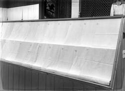 utstilling, Østfoldutstillingen, husflid, konkurranse, monte