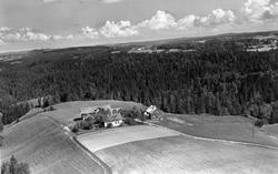 Holm østre gård  i Skiptvet, flyfoto 11. juni  1959.