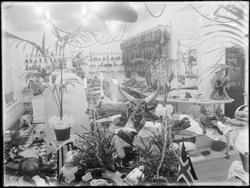 Utstilling av julemat hos slakter Otto Skjøren i Sarpsborg
