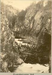 Svælgfosjuvene ved Notodden, fotografert 1905
Vaser med tøm