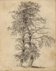 Dyre- og figurstudier [Tegning]