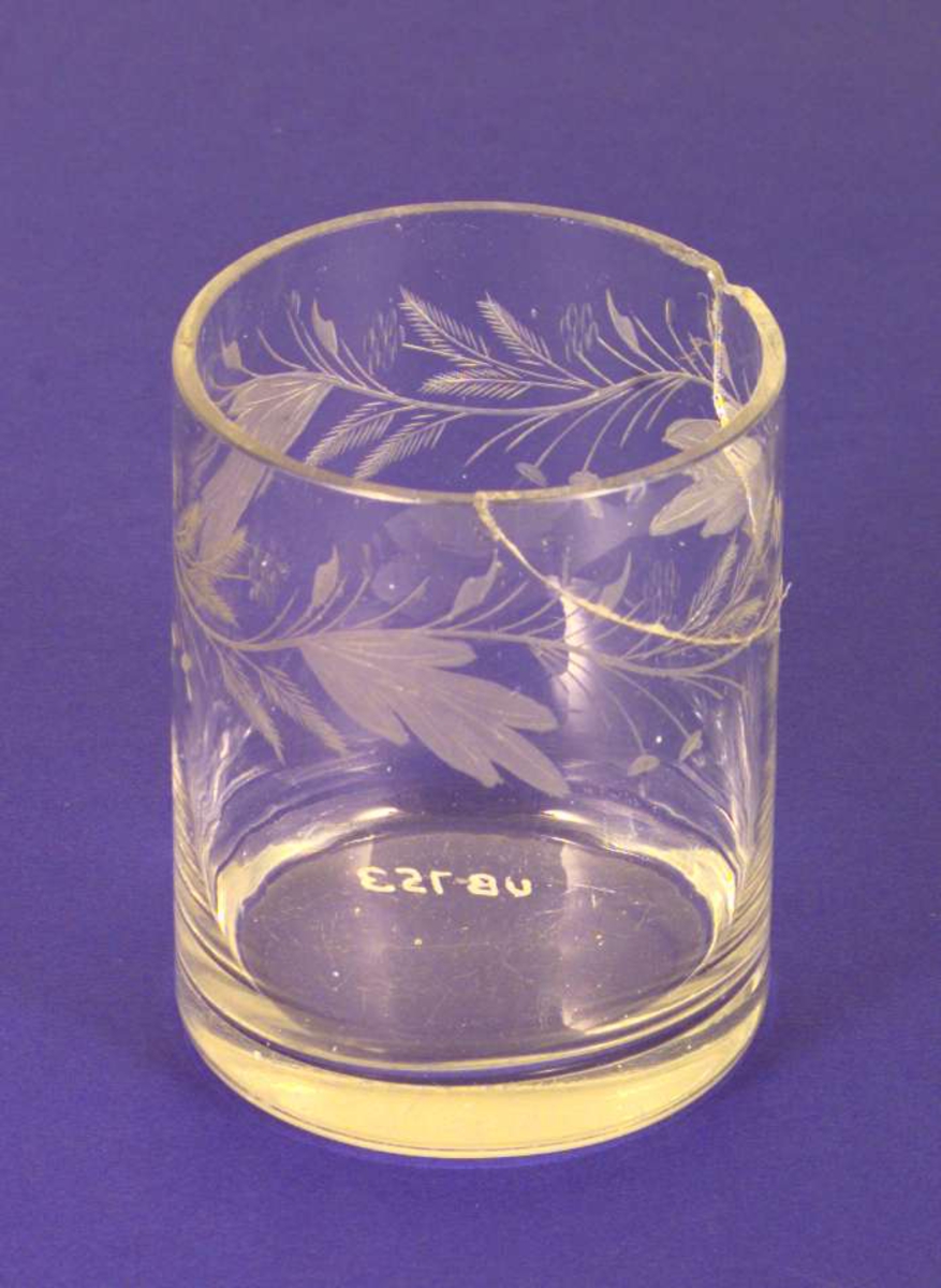 Glass med blad/blomstergravyr. Glasset har vært limt og har skår i randen.