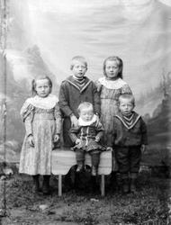 Pro: 25.09.1896. Birger Hvattum`s barn. Gruppebilde, gutter,