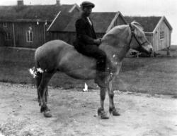 Iver Andreas Hjertvik