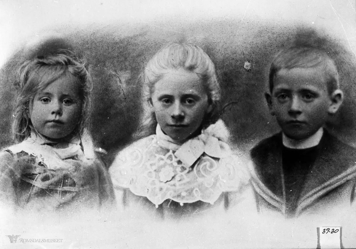 Barna til Nikolay Oppigard f.22.04.1872 og Anne Oppigård f.15.04.1869..Bosatt 1910 Oppigard gnr 20 bnr 10.