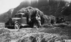 Slåttonn. Høykjøring i Moen..Chevrolet 1934-35...
