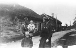 Husa på Hammervoll. Alle husa er no flytta til Romsdalsmusee