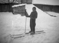 I bakgrunnen løa på bruk nr 11.