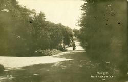 Utlånt av: Sverre Torjuul