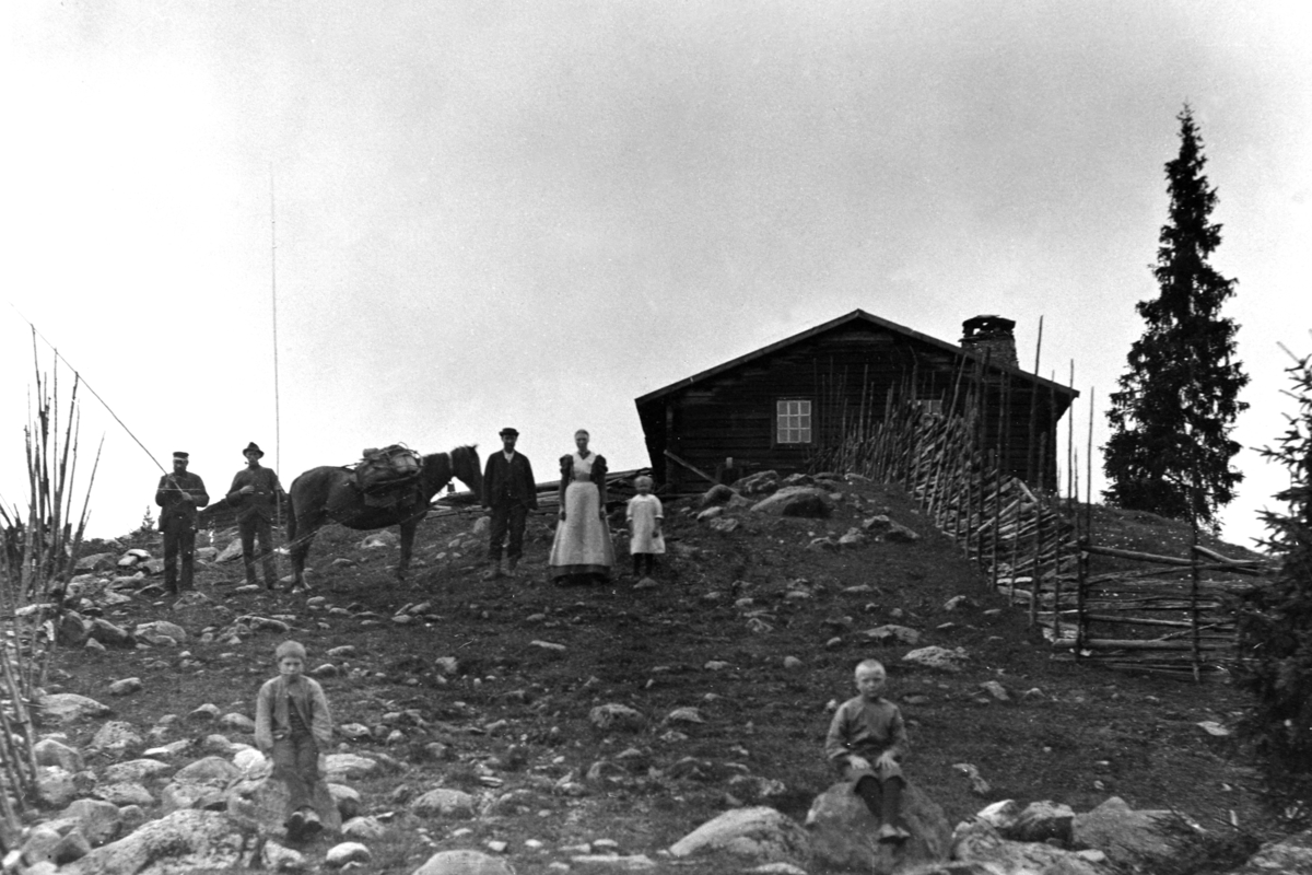 Gruppe voksne og barn med kløvhest ved størhuset på Bergsbu seter. Ringsaker Almenning. Sommeren 1900 brant hele seteranlegget på Bergsbu med flere hus ned til grunnen.