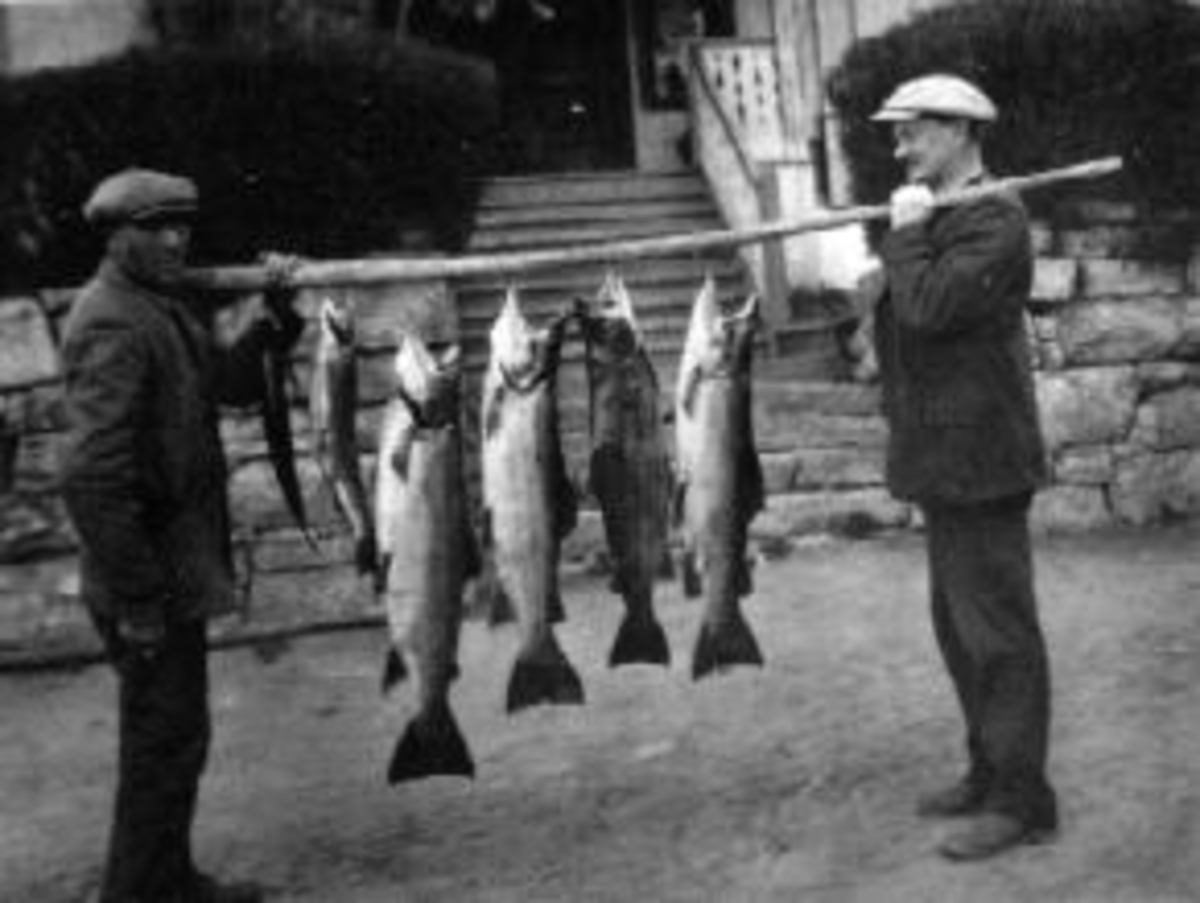 To menn med fiskefangst på stokk foran føderådsbygningen på Vinju, Ringsaker. Seks store ørret. Gardbruker Johannes Winju f. 1874 til høyre. Den andre mannen er ukjent.