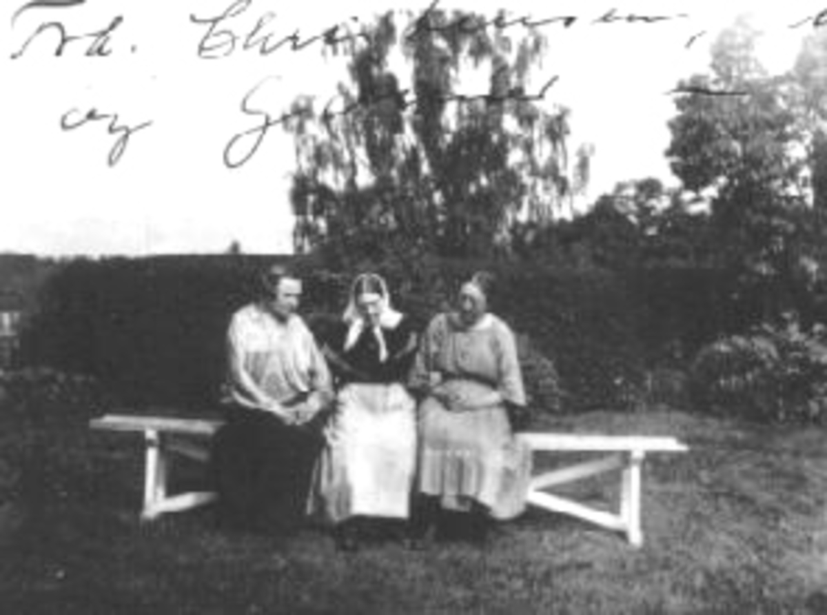 Ringsaker, Sveinhaug gård, Tre damer på benk i hage. Frøken Christiansen, Anne Sveinhaug, Gønner Sveinhaug, .
