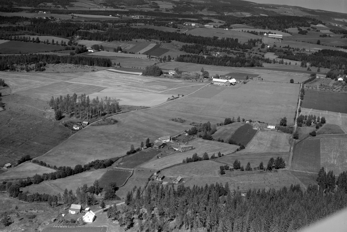 Flyfoto over garder og småbruk, Gaupen, Ringsaker. Nederst til venstre er Baklykkjen (under Tjerne), Engen, Frydenberg og Saustad vestre.
