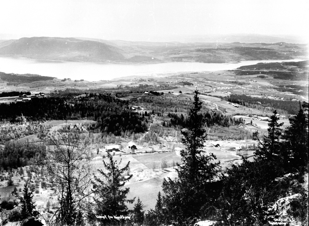 Utsikt over Brumunddal sentrum, sett fra Høsbjør, Furnes, Ringsaker, 1915.