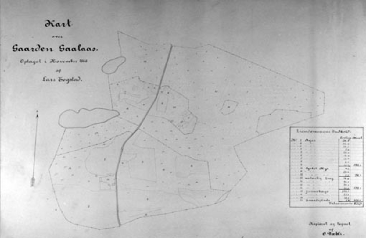 Gardskart ov Gaalaas, Nes, Hedmark fra 1868. Opptegnet av Lars Cogstad. Kopiert og tegnet av O. Dæhli, Nes.