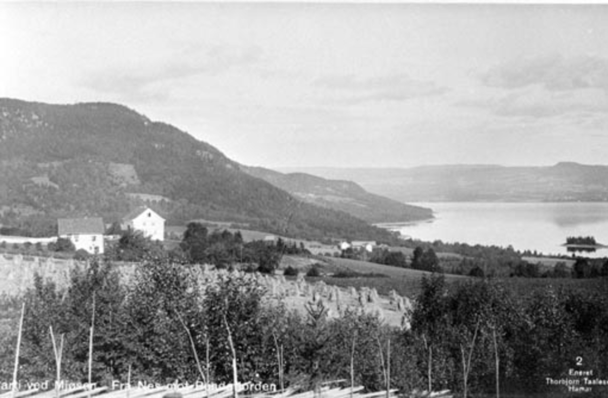 Voll gård, utsikt mot Nerliholmen og Furnesfjorden, Nes, Hedmark.
